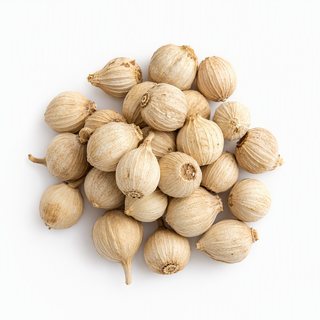 白豆蔻