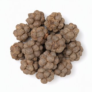 草豆蔻